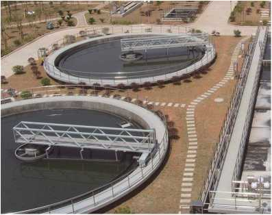 ZBXN型週邊(bian)傳動半橋(qiao)虹(hong)吸式吸泥(ni)機